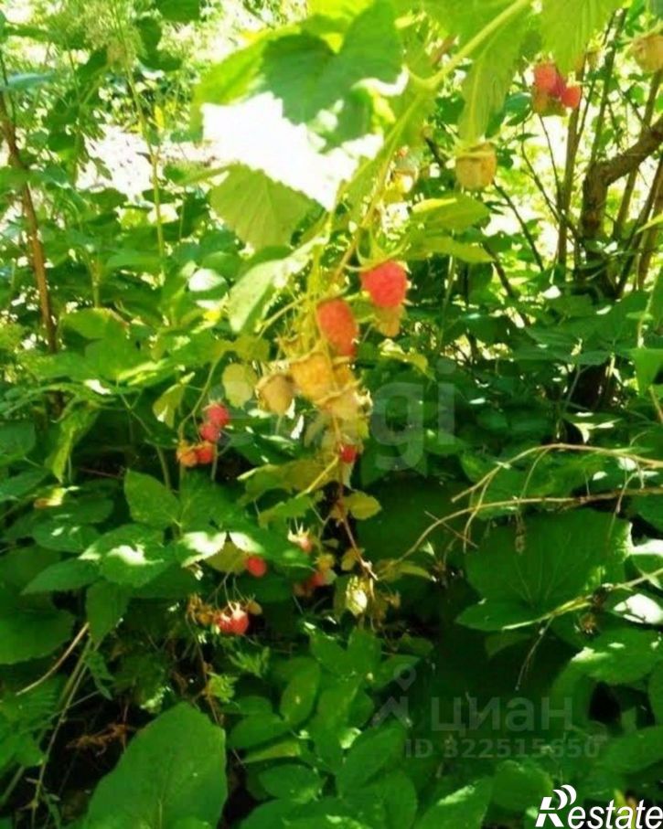 2-комн квартира городской округ Вологда