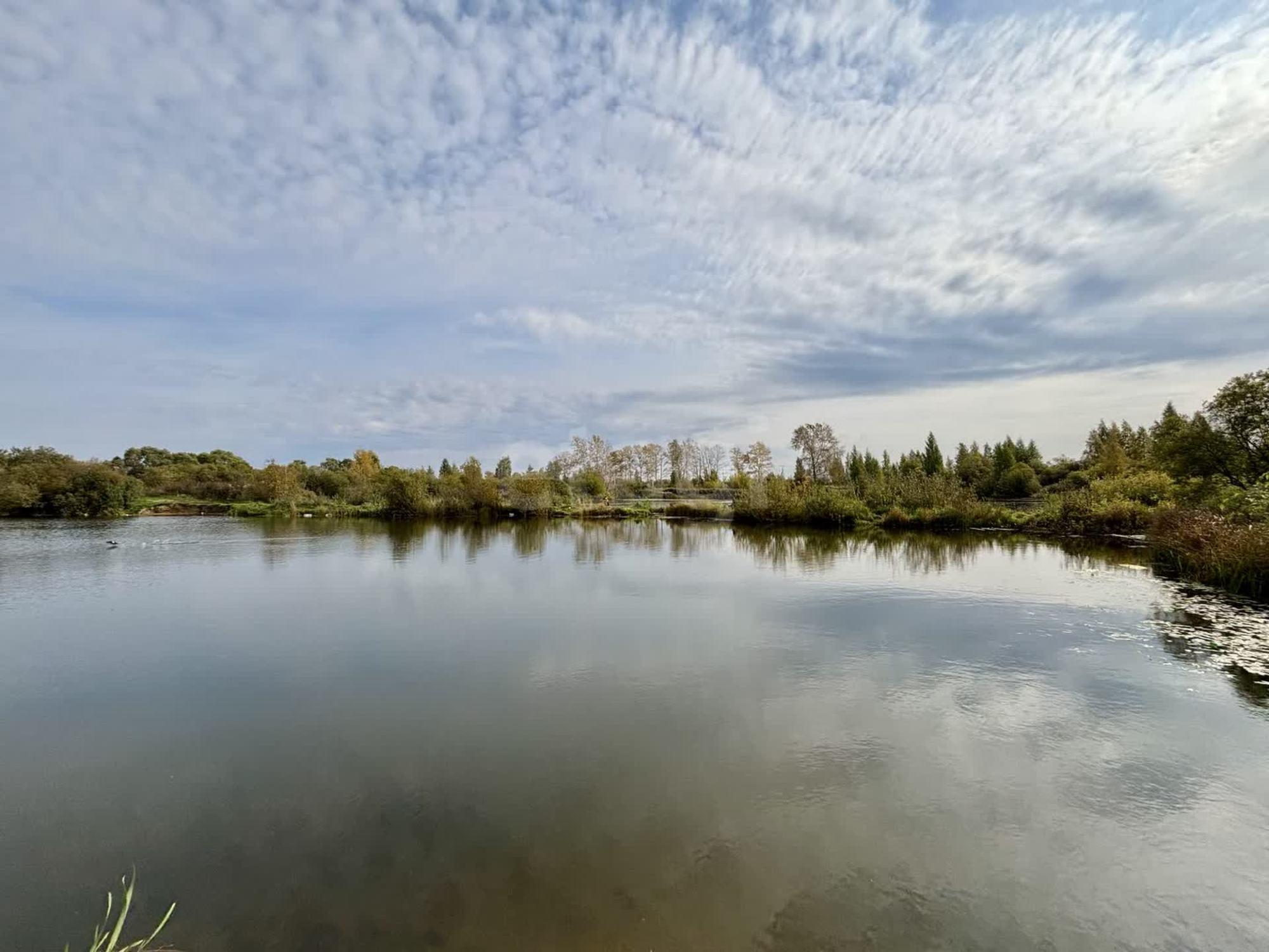 Купить землю, земельный участок за 800 000 рублей на улица Саммера,