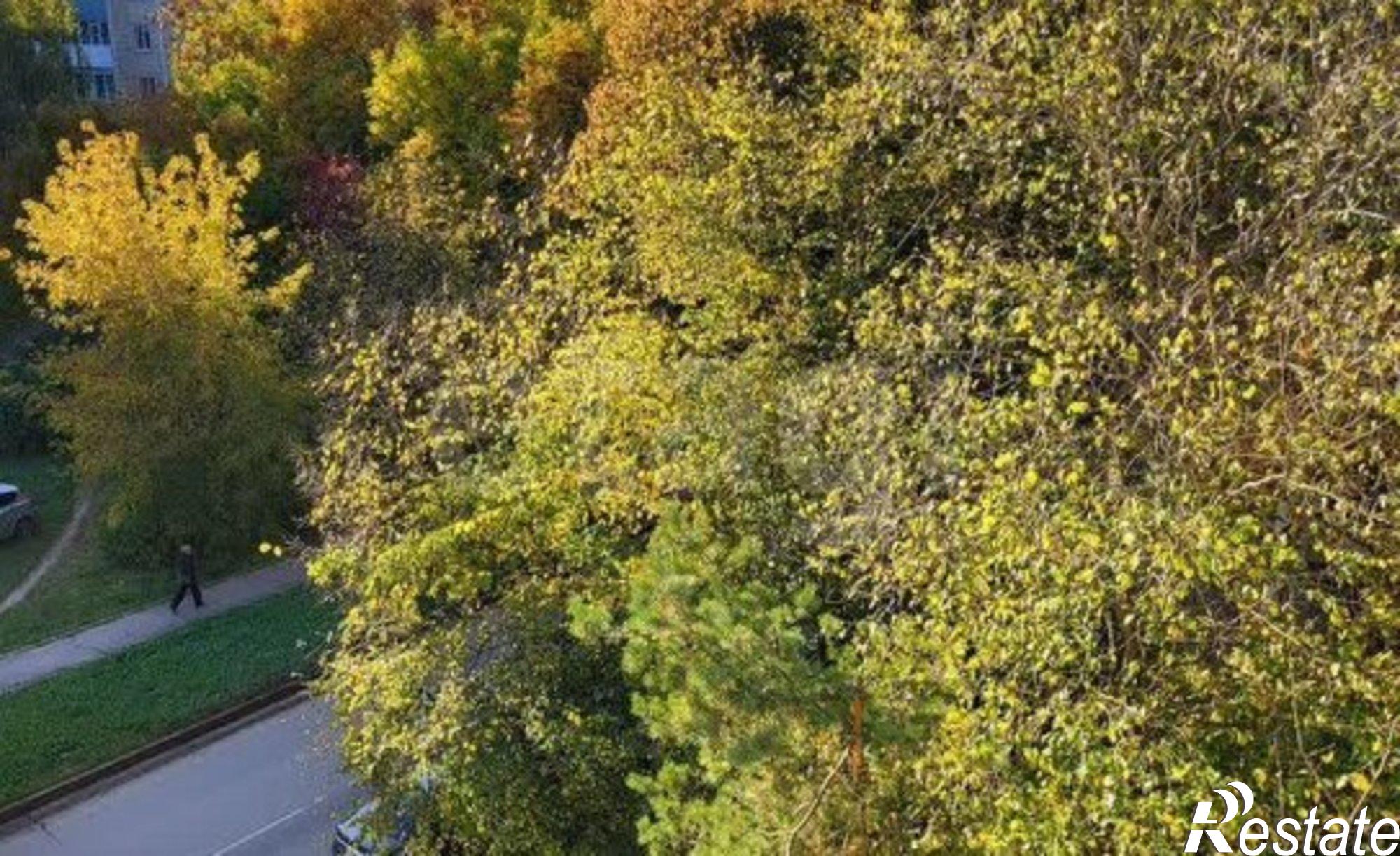 Купить квартиру за 5 300 000 рублей на Пошехонское шоссе, 26