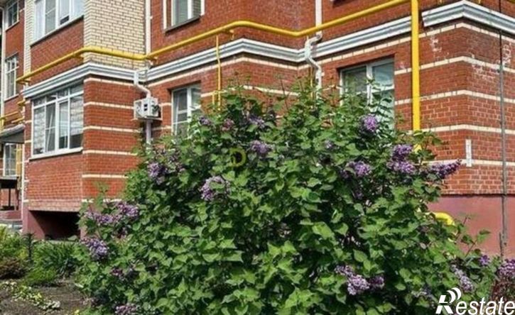 1-комн квартира улица Энгельса, 71Б,  д. 71Б