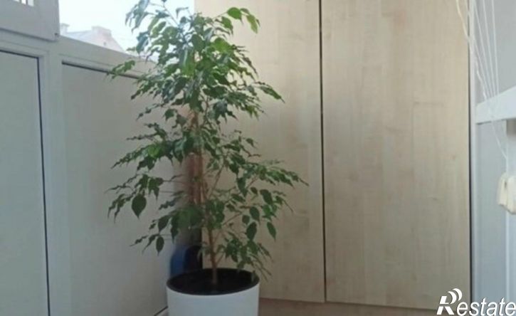 2-комн квартира улица Солодунова, 37,  д. 37