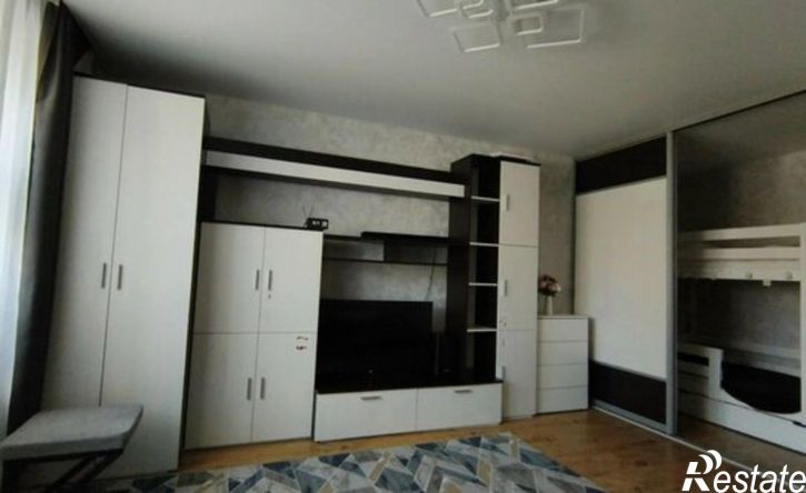 1-комн квартира ул Добролюбова, 52,  д. 52