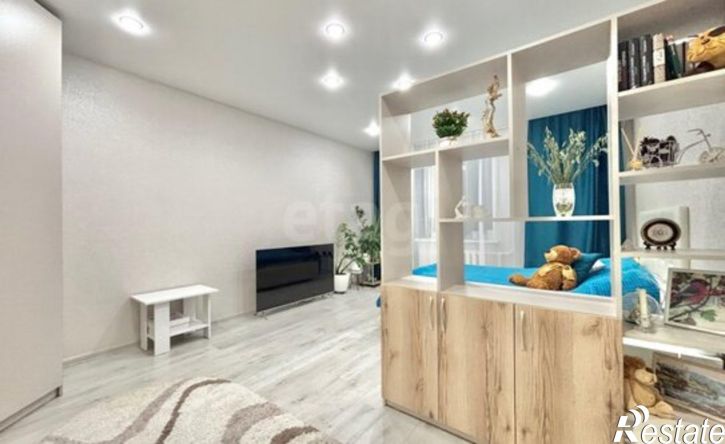 1-комн квартира ул Дальняя, 20д,  д. 20д