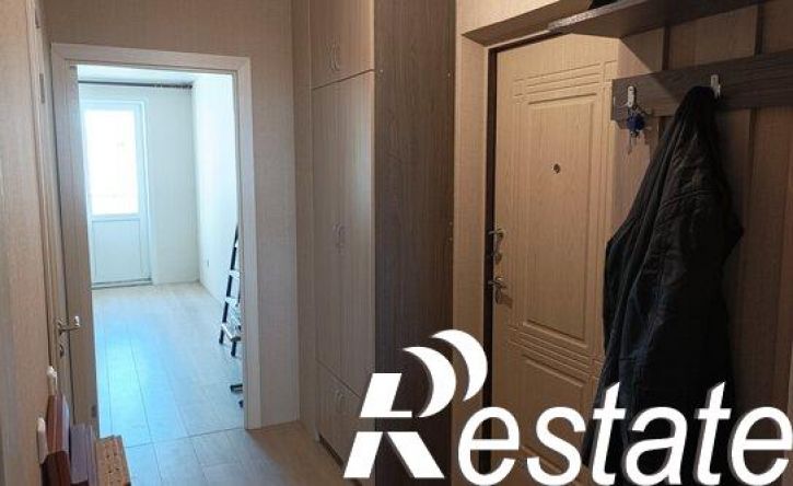 1-комн квартира улица Сергея Преминина, 10Б,  д. 10Б
